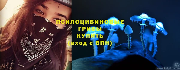 PSILOCYBIN Арсеньев