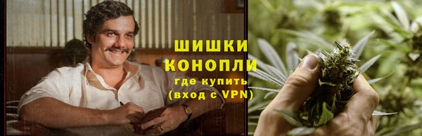 PSILOCYBIN Арсеньев