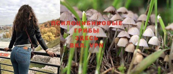 PSILOCYBIN Арсеньев