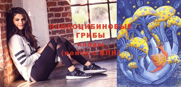 PSILOCYBIN Арсеньев